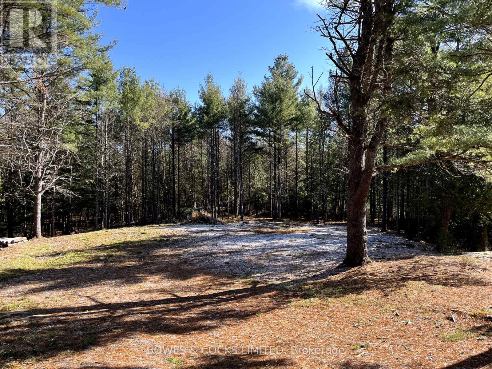 942 Balmer Road, North Kawartha, Ontario  K0L 1A0 - Photo 6 - X12074623