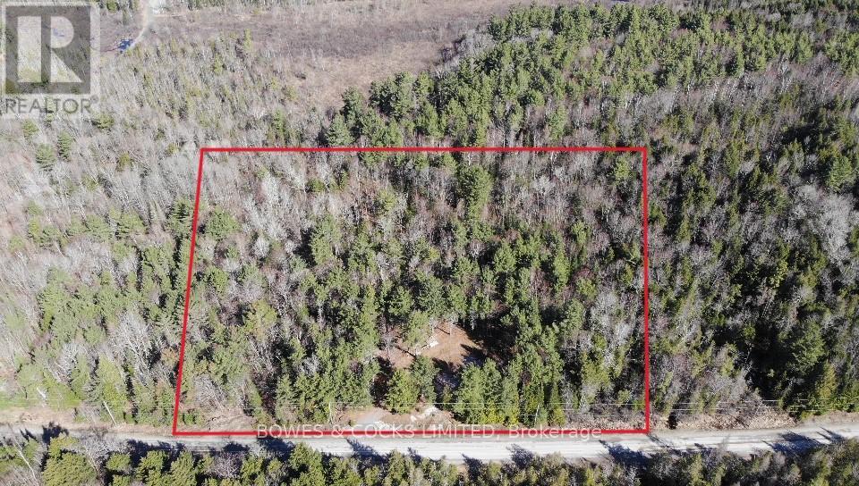 942 Balmer Road, North Kawartha, Ontario  K0L 1A0 - Photo 8 - X12074623
