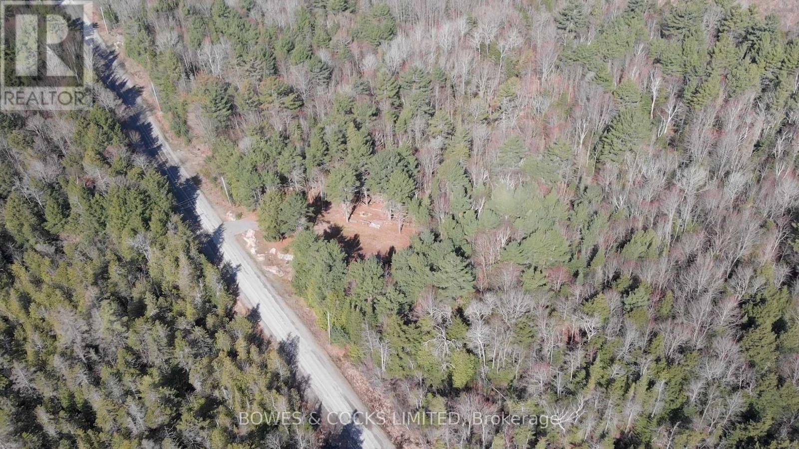 942 Balmer Road, North Kawartha, Ontario  K0L 1A0 - Photo 9 - X12074623