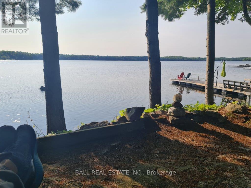 2077 White Lake Road W, Douro-Dummer, Ontario  K0L 2H0 - Photo 42 - X12076792