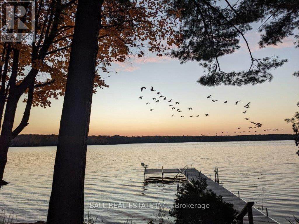 2077 White Lake Road W, Douro-Dummer, Ontario  K0L 2H0 - Photo 46 - X12076792