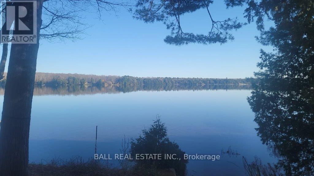 2077 White Lake Road W, Douro-Dummer, Ontario  K0L 2H0 - Photo 48 - X12076792