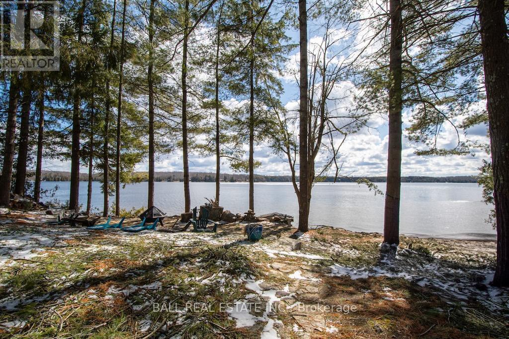 2077 White Lake Road W, Douro-Dummer, Ontario  K0L 2H0 - Photo 7 - X12076792