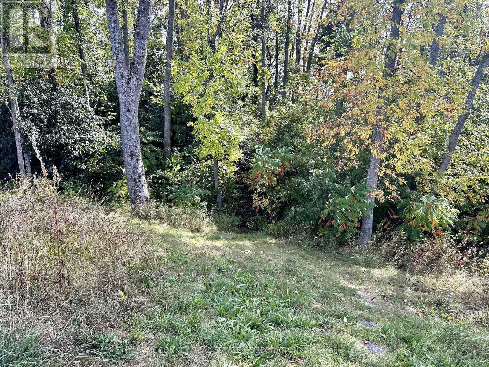 11 Godfreys Lane, Otonabee-South Monaghan, Ontario  K0L 2G0 - Photo 19 - X12080734