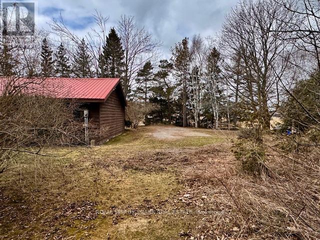 3725 Concession 1 Road, Clarington, Ontario  L1B 0G1 - Photo 12 - E12081074