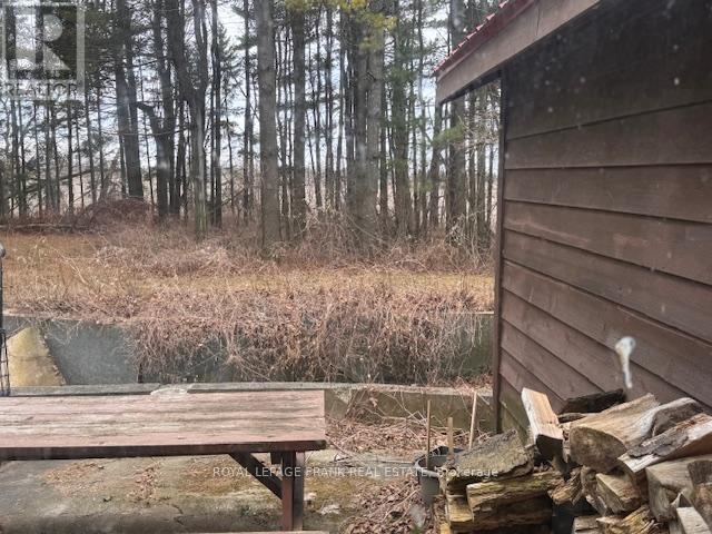 3725 Concession 1 Road, Clarington, Ontario  L1B 0G1 - Photo 14 - E12081074