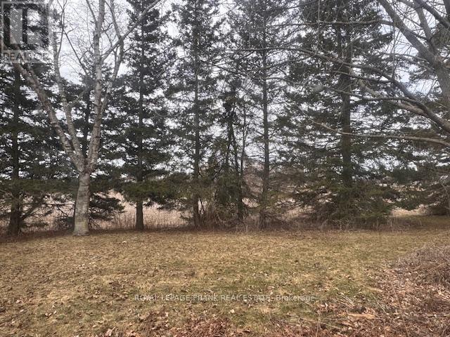 3725 Concession 1 Road, Clarington, Ontario  L1B 0G1 - Photo 15 - E12081074