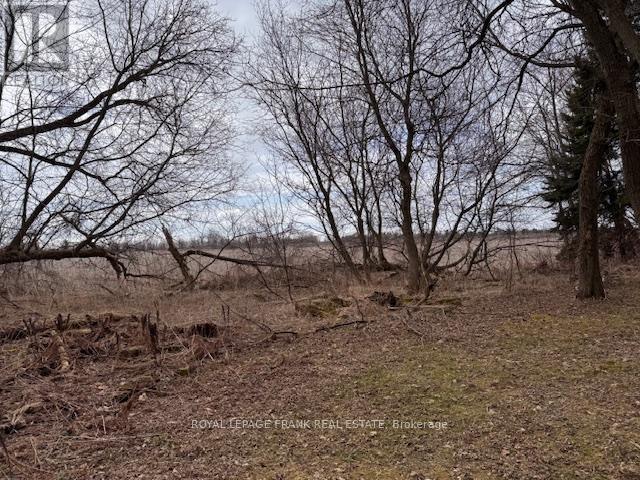 3725 Concession 1 Road, Clarington, Ontario  L1B 0G1 - Photo 21 - E12081074