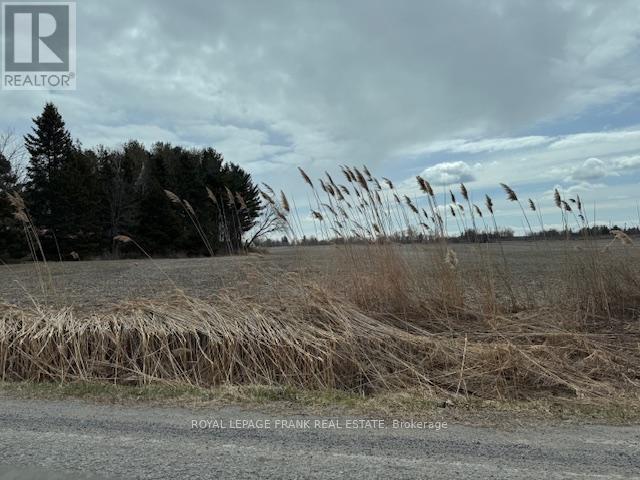 3725 Concession 1 Road, Clarington, Ontario  L1B 0G1 - Photo 24 - E12081074