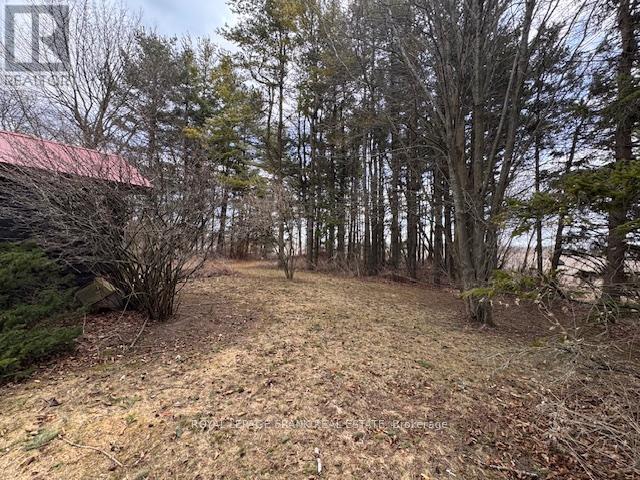 3725 Concession 1 Road, Clarington, Ontario  L1B 0G1 - Photo 5 - E12081074