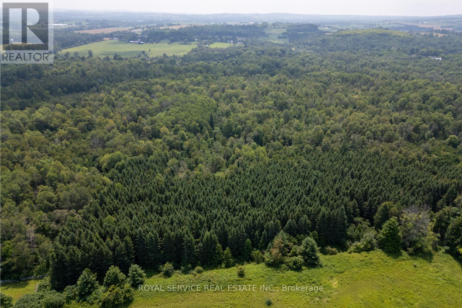 1539 Larmer Line, Cavan Monaghan (Cavan Twp), Ontario  K0L 1V0 - Photo 43 - X12081138