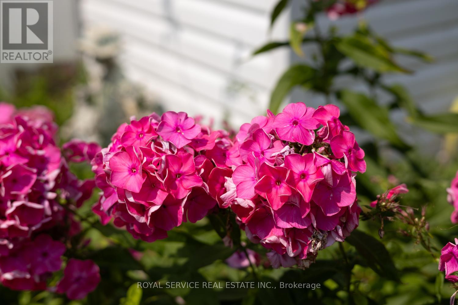 1539 Larmer Line, Cavan Monaghan (Cavan Twp), Ontario  K0L 1V0 - Photo 44 - X12081138