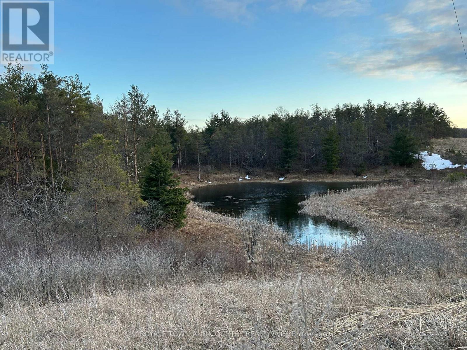 0 Highway 35, Kawartha Lakes (Pontypool), Ontario  L0A 1A0 - Photo 3 - X12081227