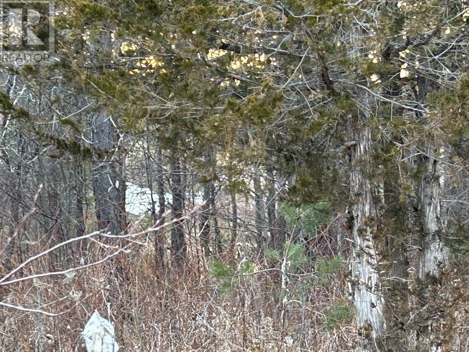 0 Highway 35, Kawartha Lakes (Pontypool), Ontario  L0A 1A0 - Photo 4 - X12081227