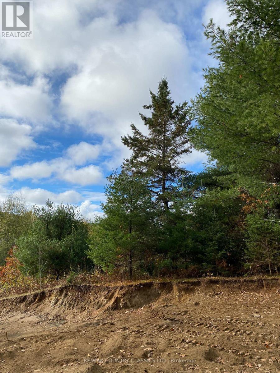 178 Gaebel Road, Bancroft (Bancroft Ward), Ontario  K0L 1C0 - Photo 12 - X12081680