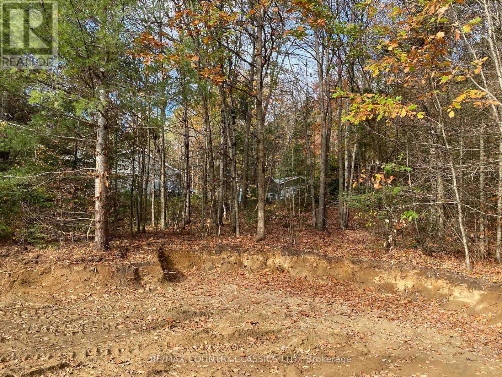 178 Gaebel Road, Bancroft (Bancroft Ward), Ontario  K0L 1C0 - Photo 13 - X12081680