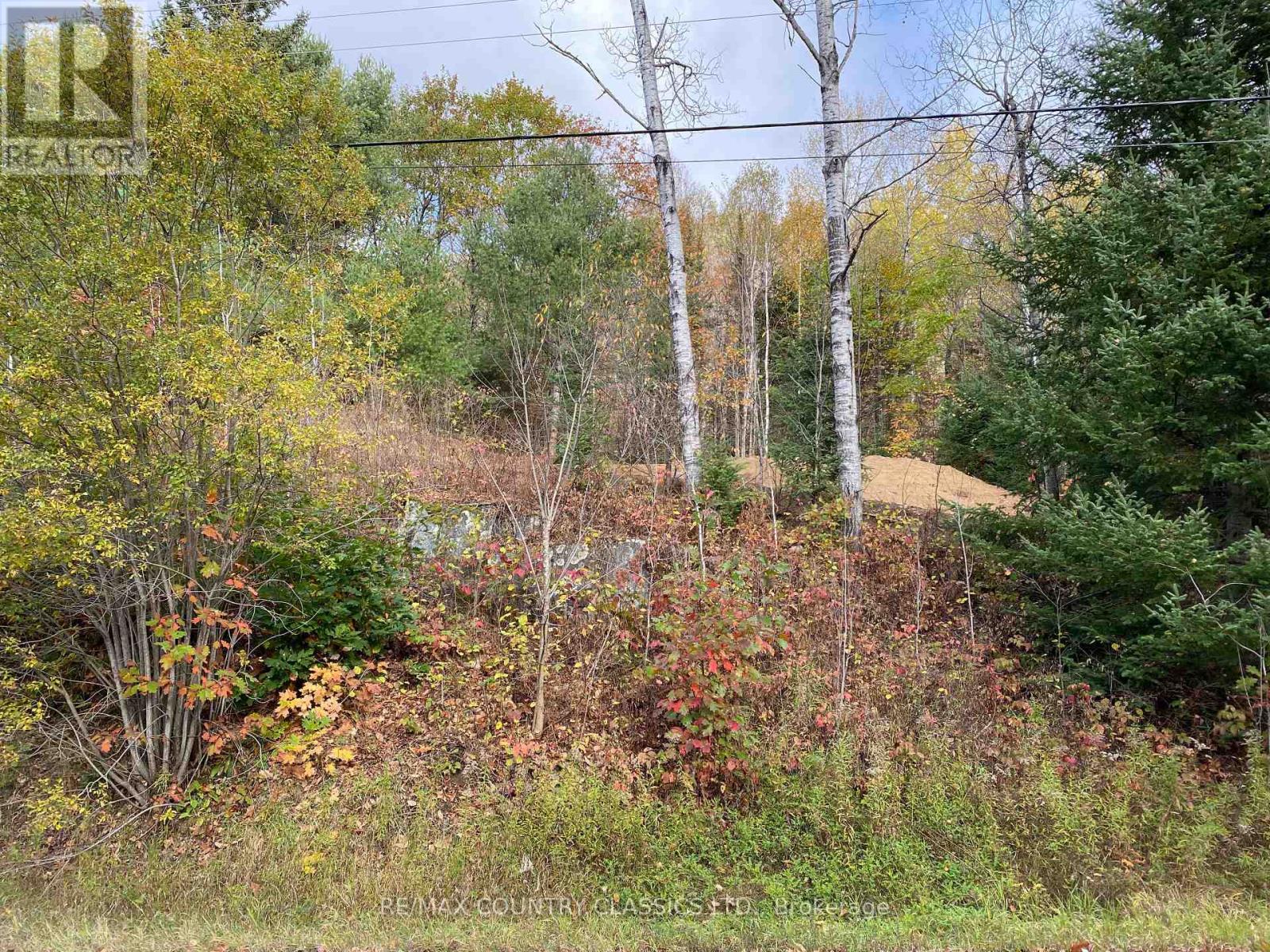 178 Gaebel Road, Bancroft (Bancroft Ward), Ontario  K0L 1C0 - Photo 18 - X12081680