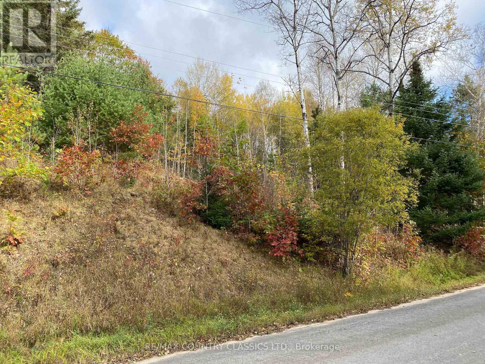 178 Gaebel Road, Bancroft (Bancroft Ward), Ontario  K0L 1C0 - Photo 19 - X12081680