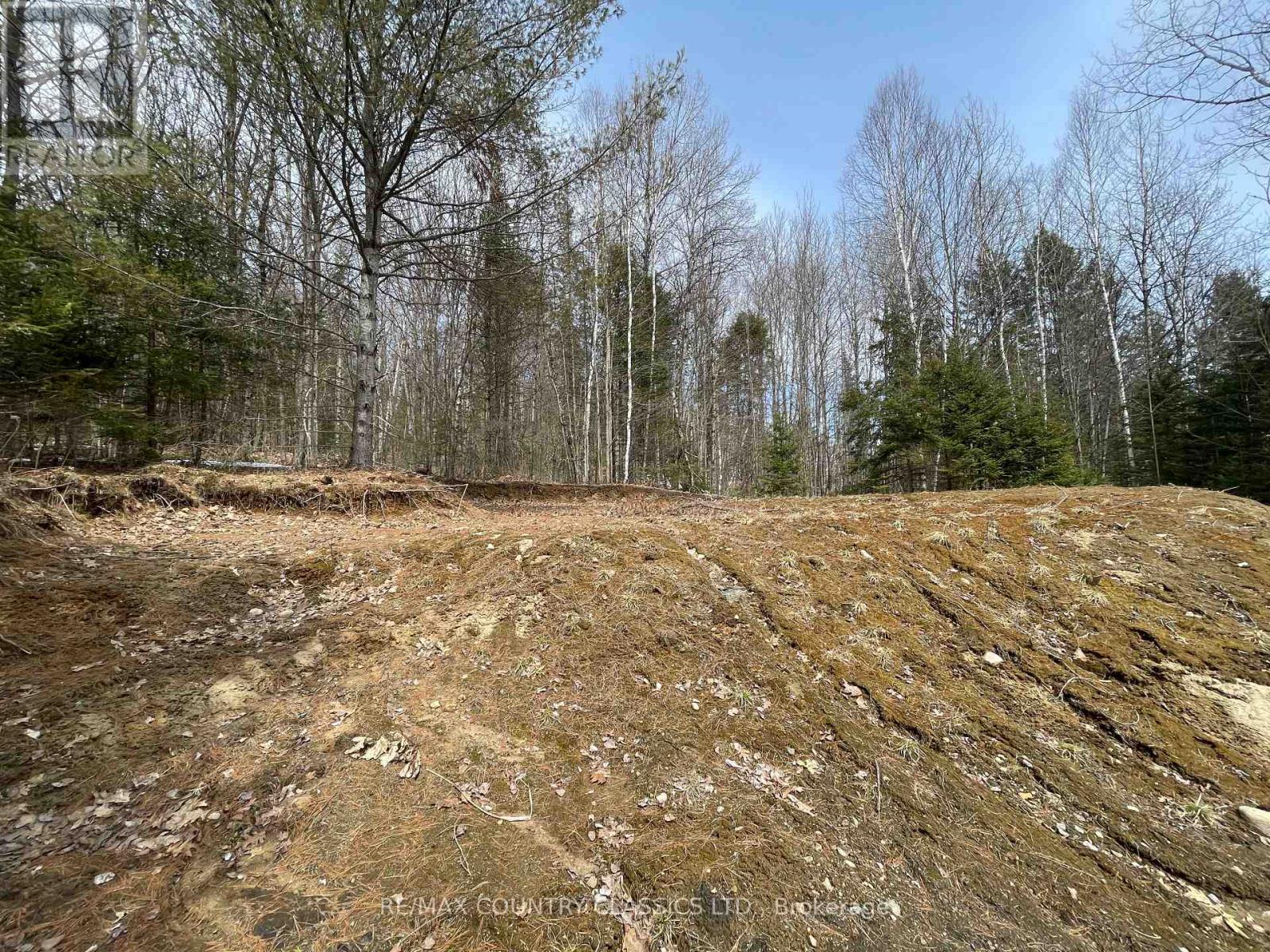 178 Gaebel Road, Bancroft (Bancroft Ward), Ontario  K0L 1C0 - Photo 3 - X12081680