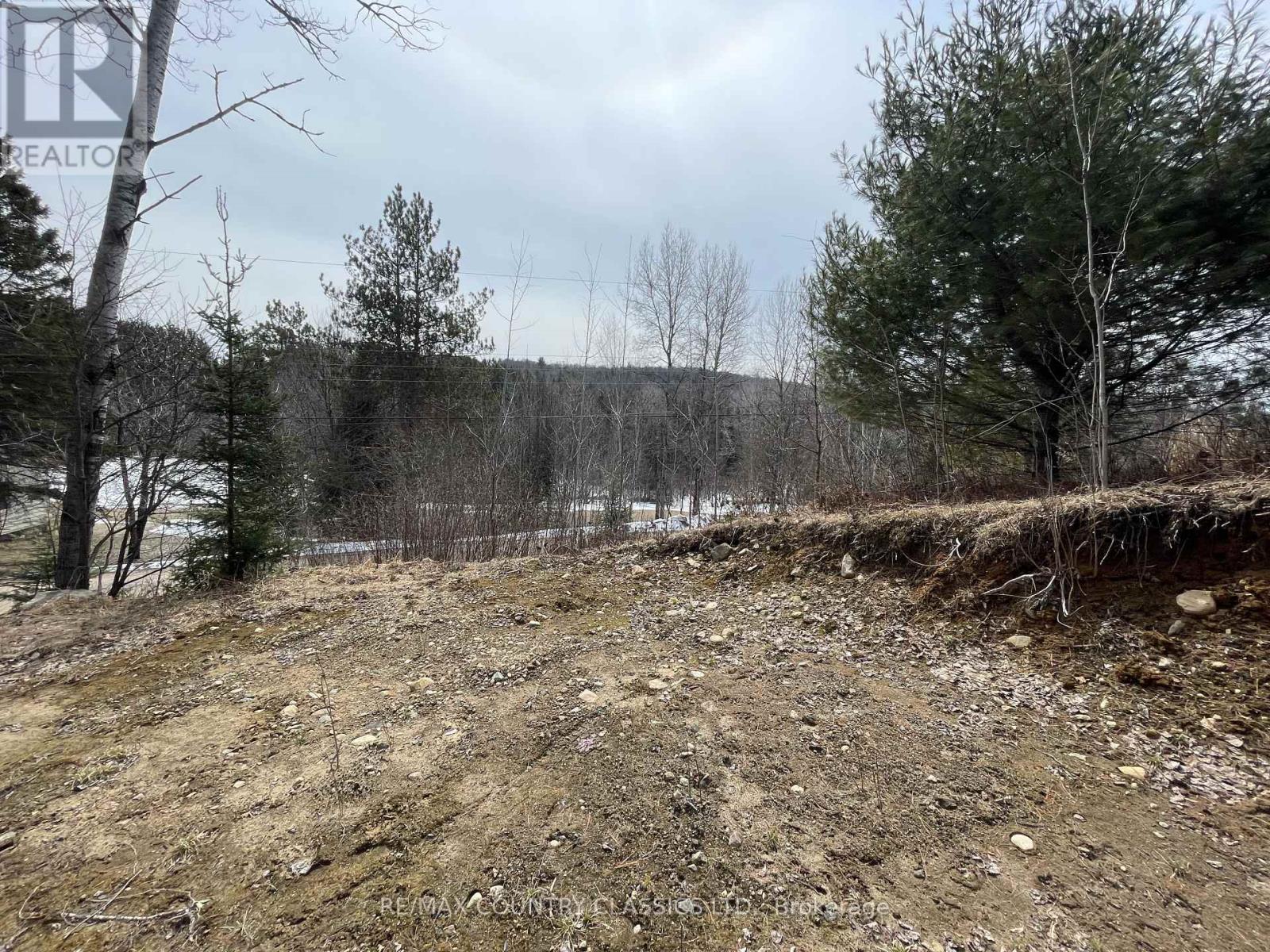 178 Gaebel Road, Bancroft (Bancroft Ward), Ontario  K0L 1C0 - Photo 4 - X12081680