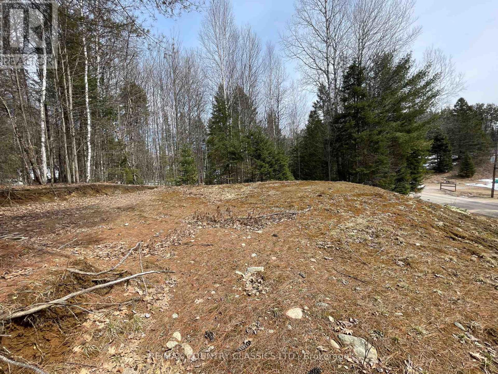 178 Gaebel Road, Bancroft (Bancroft Ward), Ontario  K0L 1C0 - Photo 5 - X12081680
