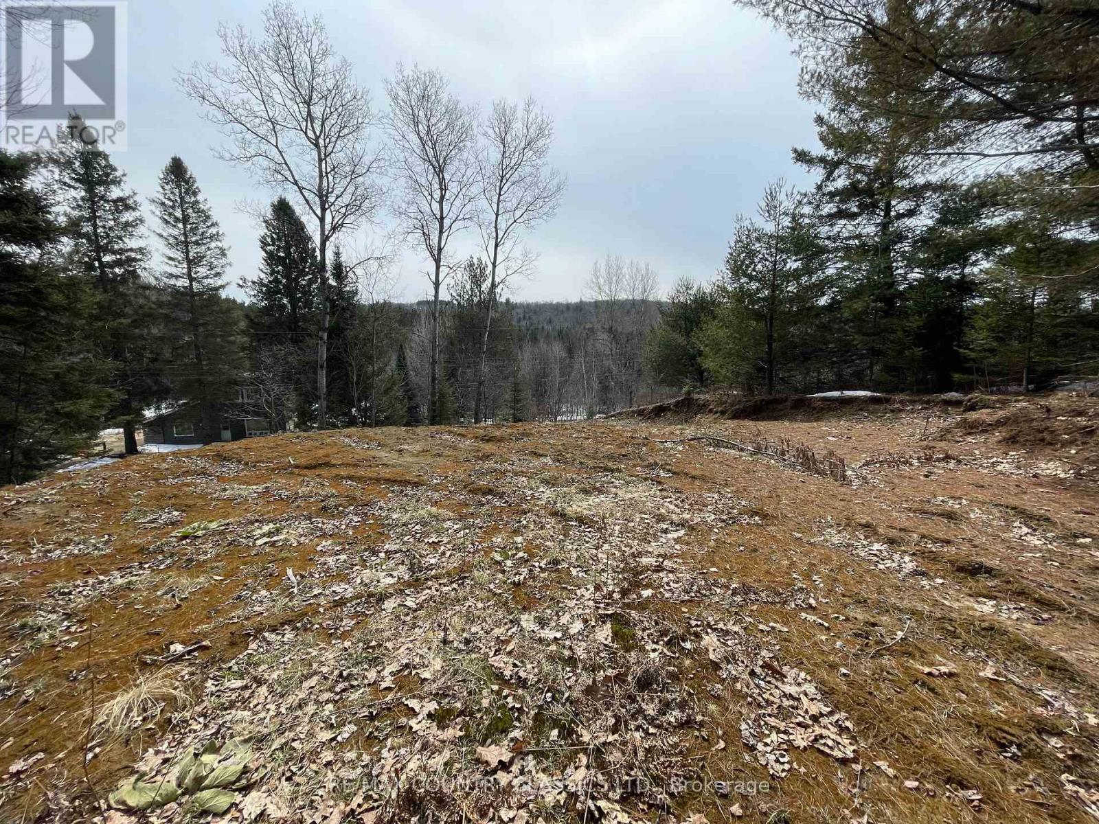 178 Gaebel Road, Bancroft (Bancroft Ward), Ontario  K0L 1C0 - Photo 6 - X12081680