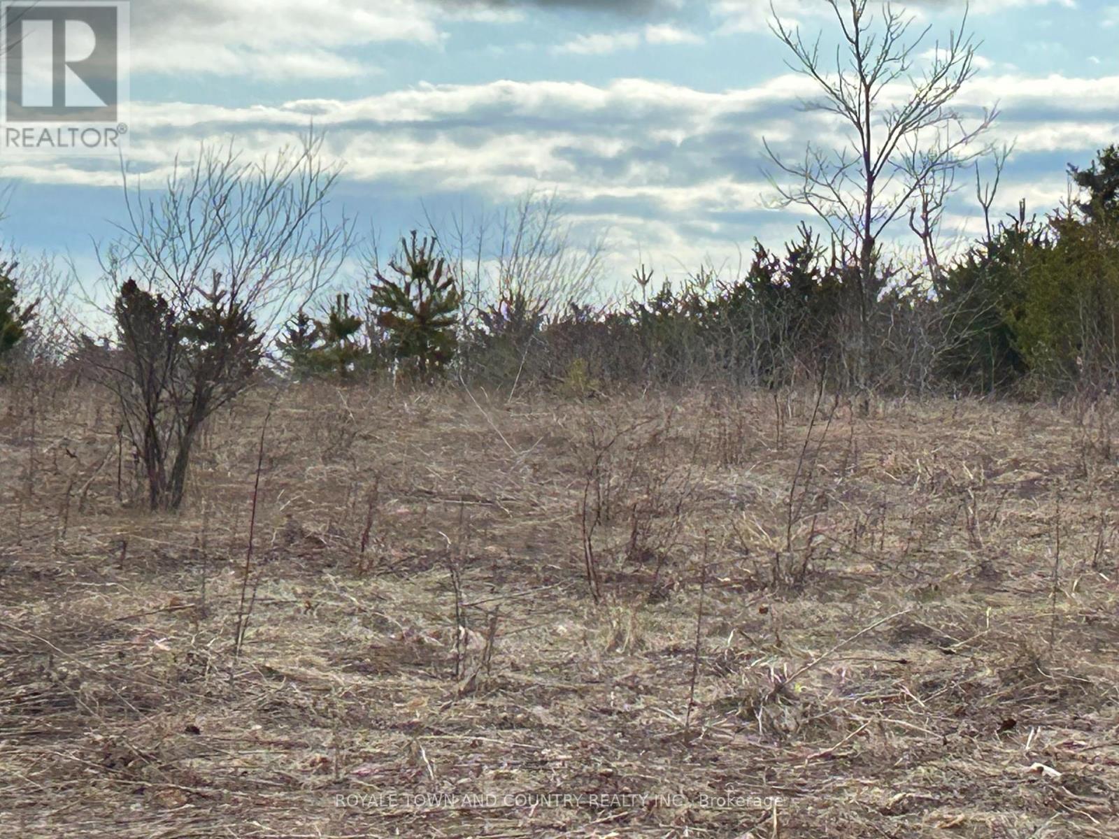 0 Pontypool Road, Kawartha Lakes (Pontypool), Ontario  L0A 1K0 - Photo 2 - X12081742