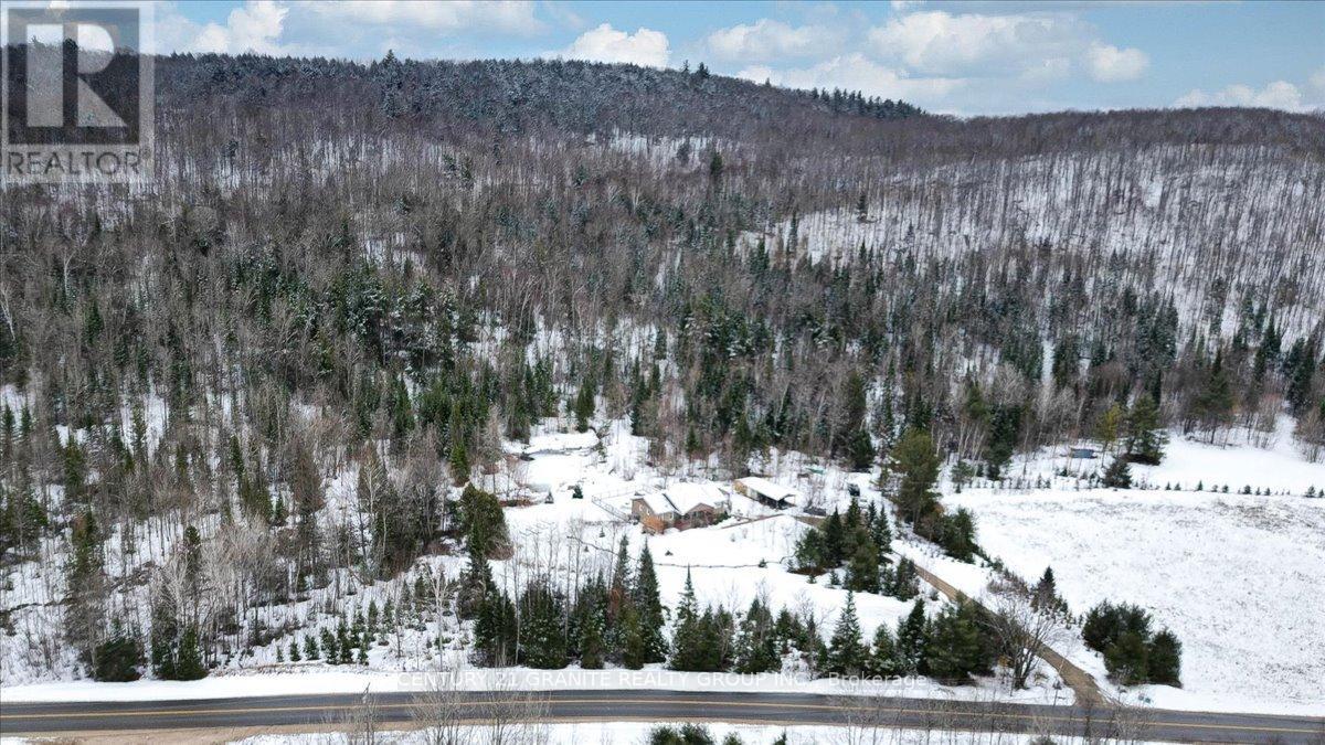 147 Airport Road, Faraday, Ontario  K0L 1C0 - Photo 38 - X12083081