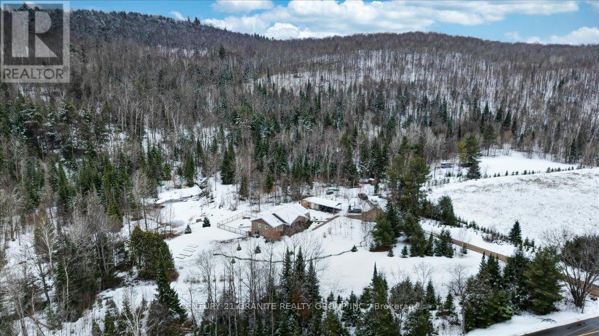 147 Airport Road, Faraday, Ontario  K0L 1C0 - Photo 39 - X12083081