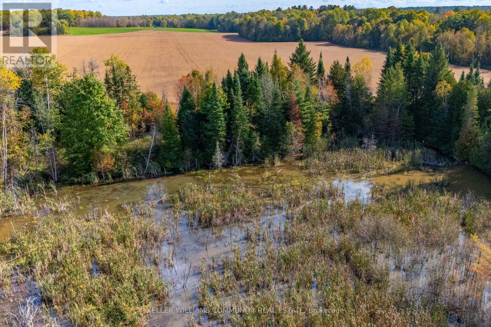 1012 12th Line W, Trent Hills, Ontario  K0L 1Y0 - Photo 28 - X12083609