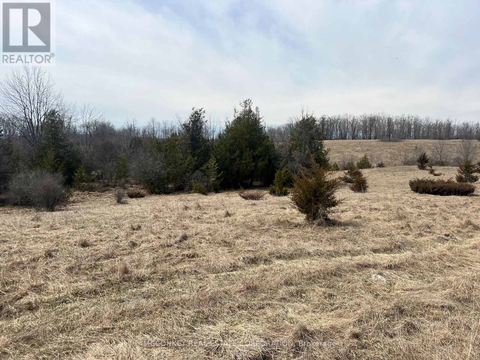 250 Concession Road 13 E, Trent Hills, Ontario  K0L 1Y0 - Photo 5 - X12083807