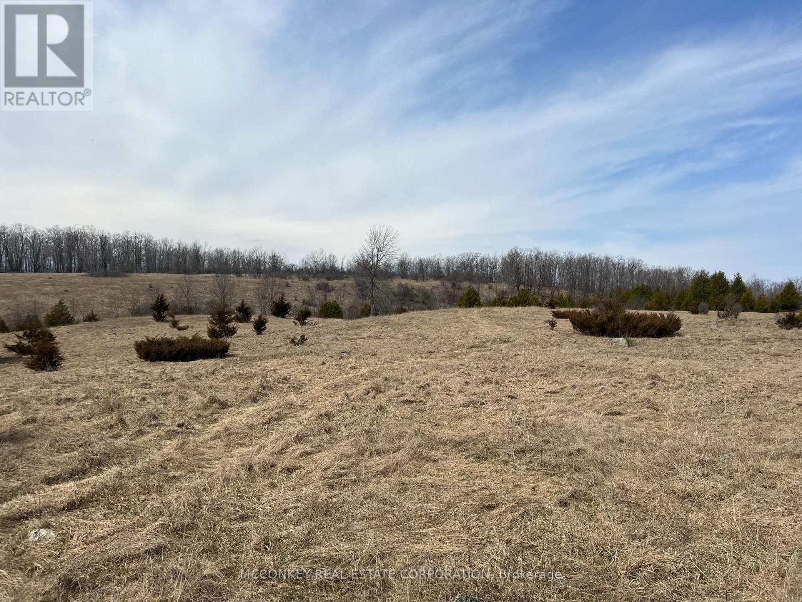 250 Concession Road 13 E, Trent Hills, Ontario  K0L 1Y0 - Photo 6 - X12083807