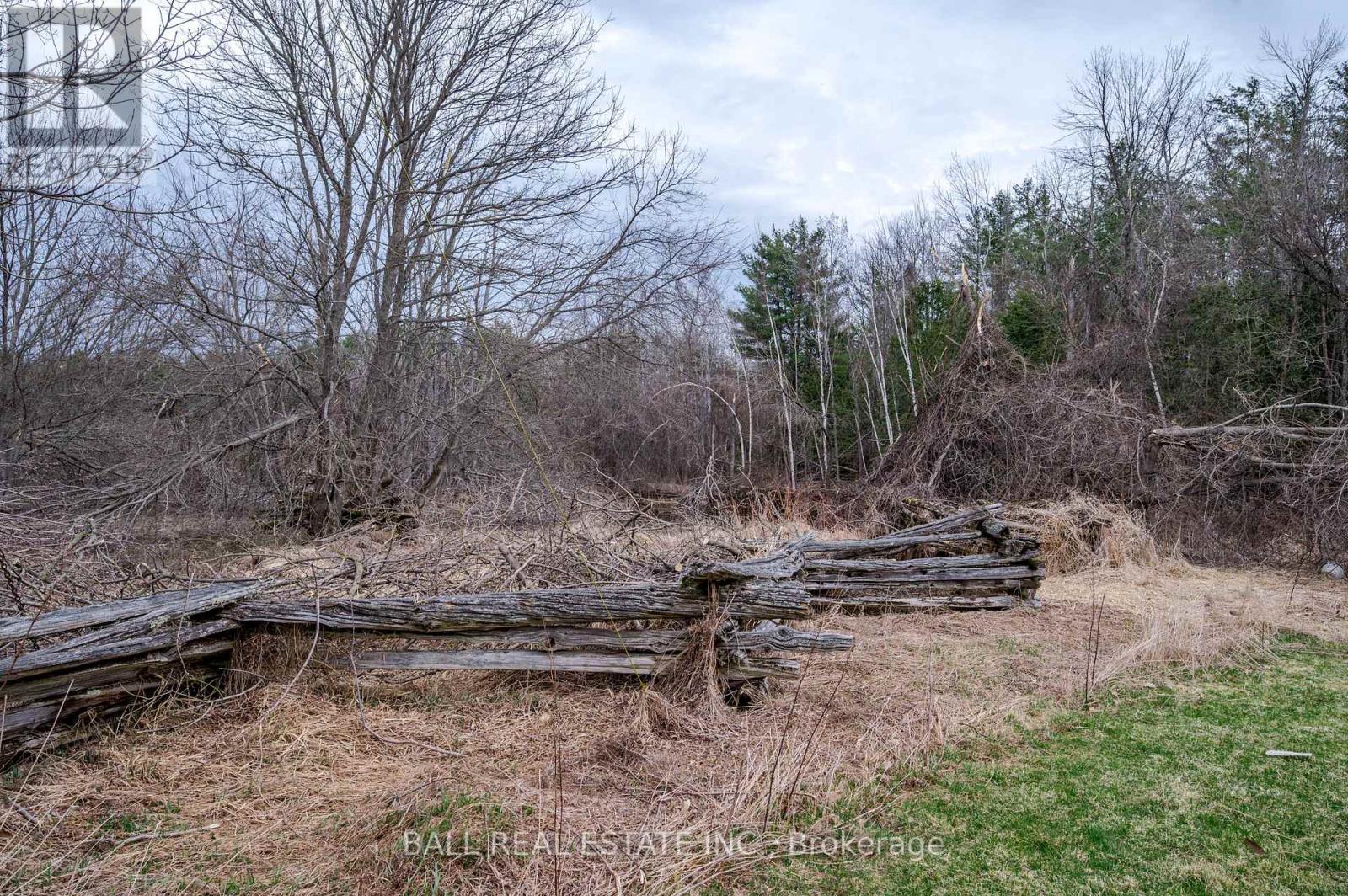 87 Blairton Road, Havelock-Belmont-Methuen (Belmont-Methuen), Ontario  K0L 1Z0 - Photo 43 - X12084170