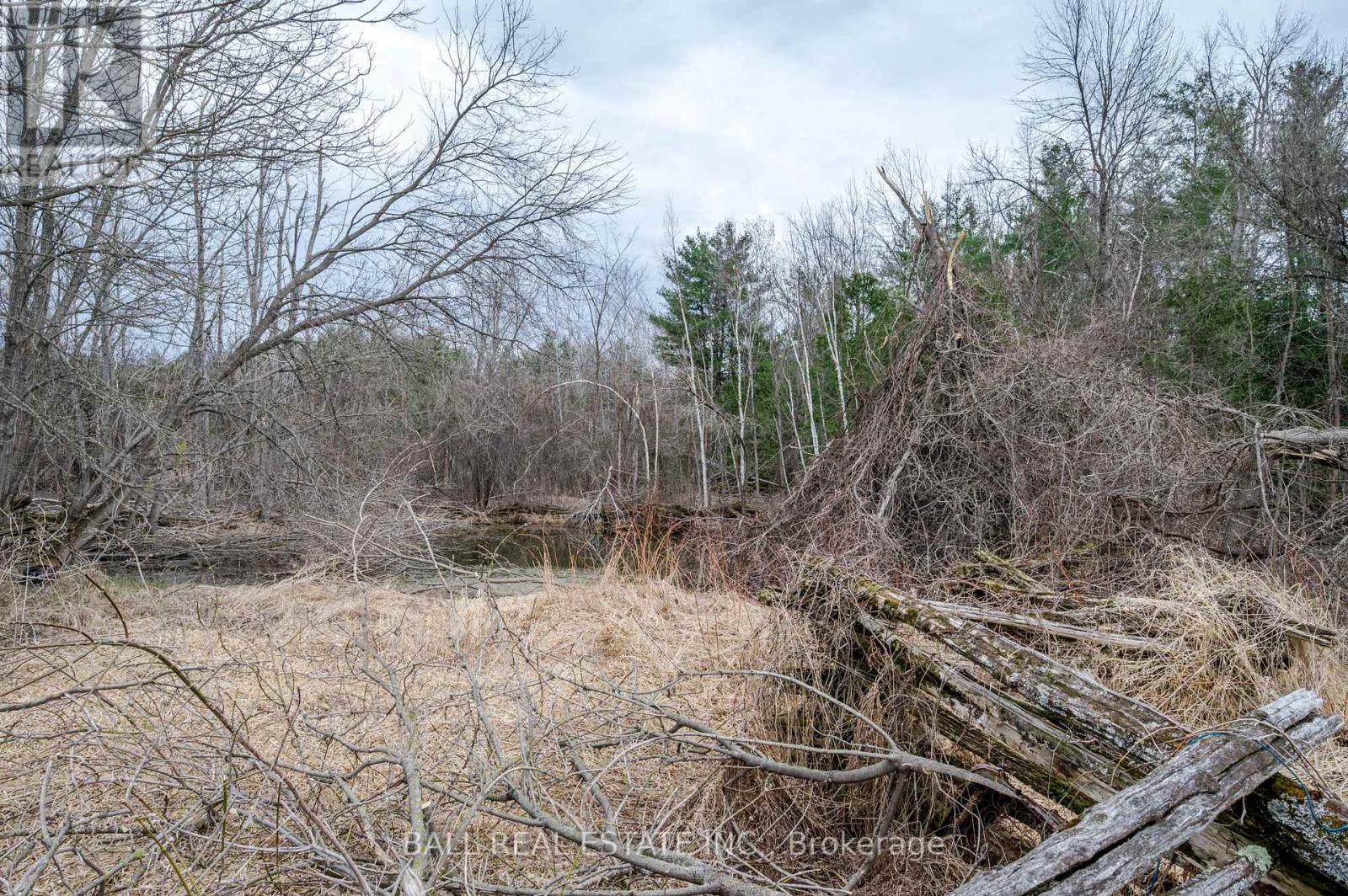 87 Blairton Road, Havelock-Belmont-Methuen (Belmont-Methuen), Ontario  K0L 1Z0 - Photo 44 - X12084170