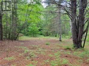 168 AIRPORT ROAD, faraday, Ontario