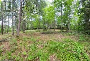 168 Airport Road, Faraday, Ontario  K0L 1C0 - Photo 10 - X12085669