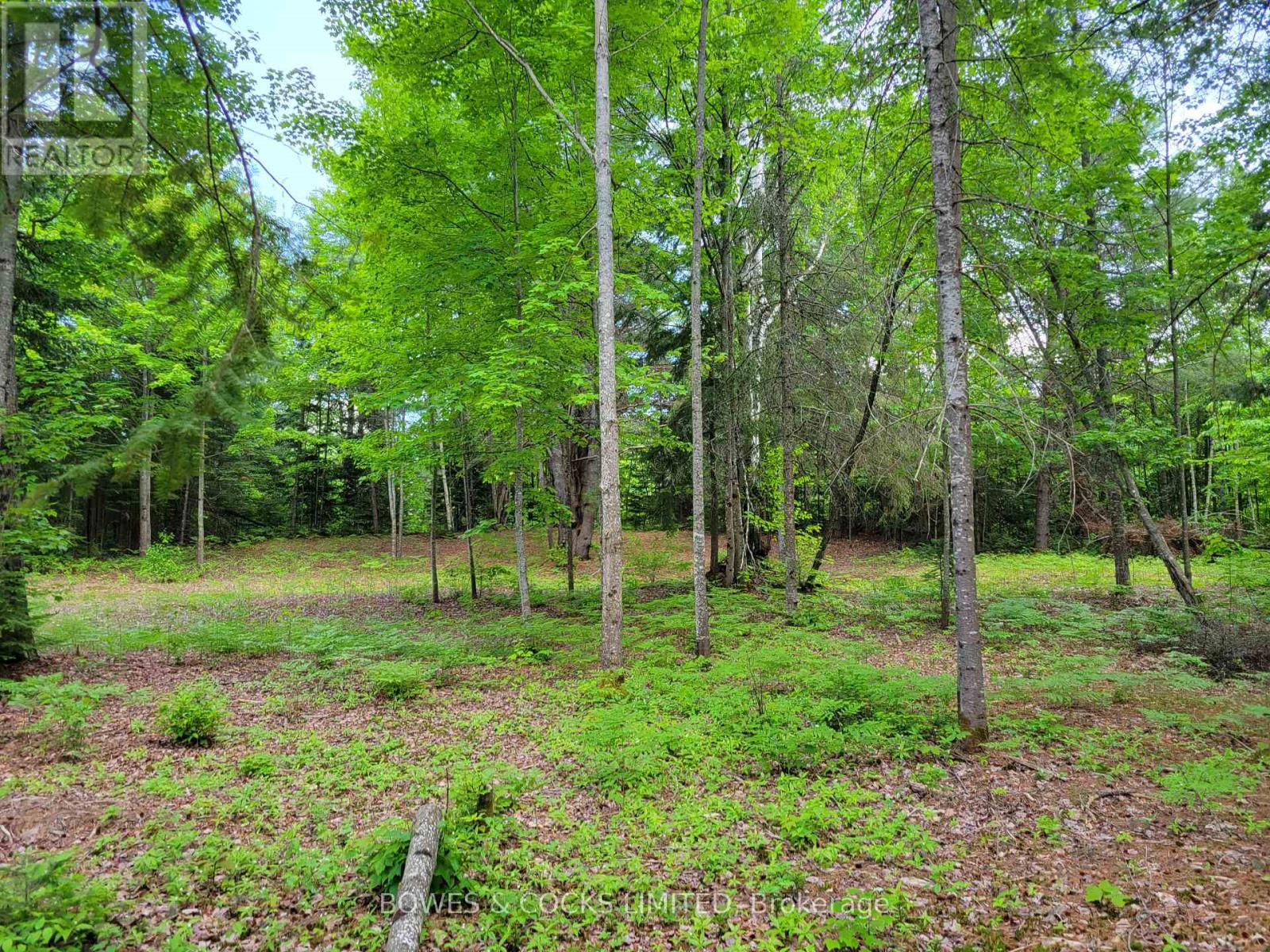 168 Airport Road, Faraday, Ontario  K0L 1C0 - Photo 13 - X12085669