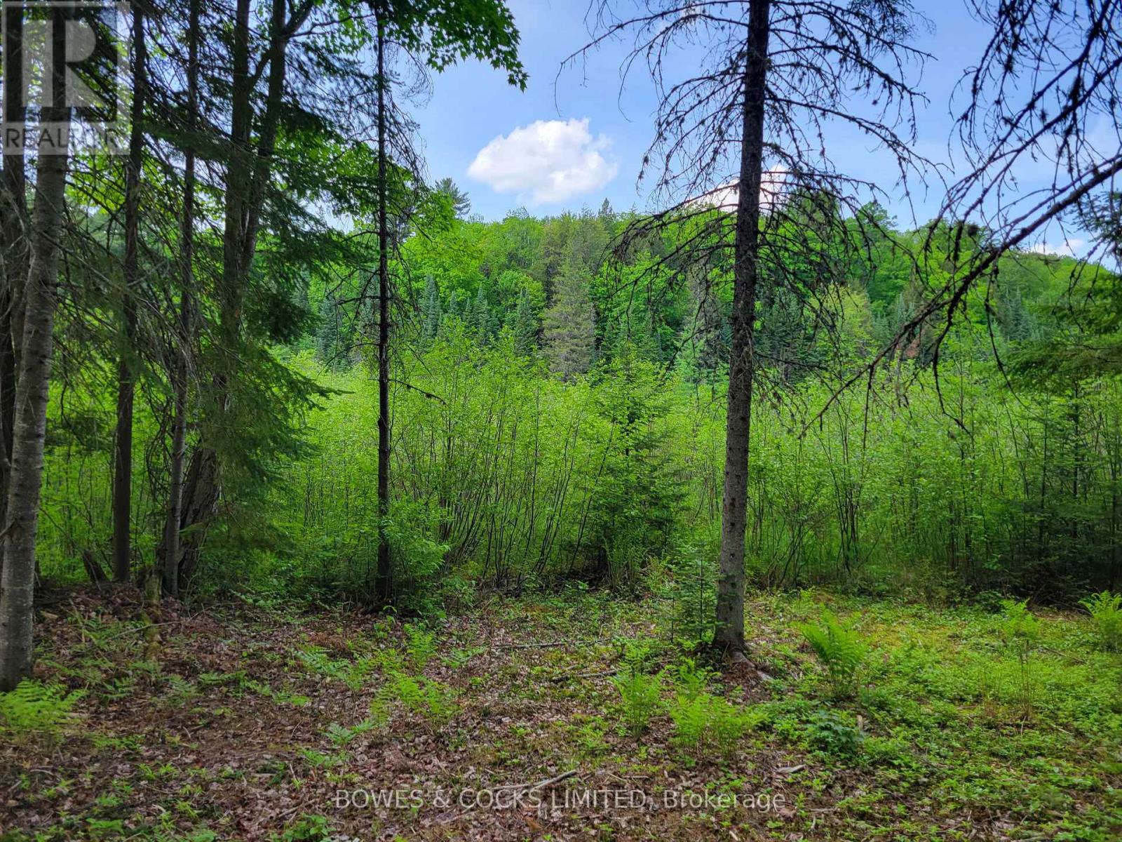 168 Airport Road, Faraday, Ontario  K0L 1C0 - Photo 15 - X12085669