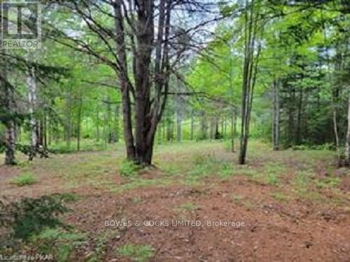 168 Airport Road, Faraday, Ontario  K0L 1C0 - Photo 2 - X12085669