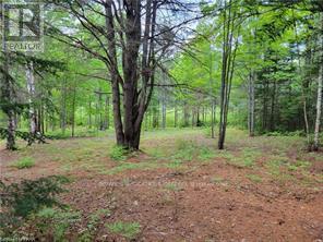 168 Airport Road, Faraday, Ontario  K0L 1C0 - Photo 4 - X12085669