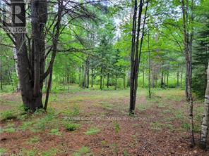 168 Airport Road, Faraday, Ontario  K0L 1C0 - Photo 5 - X12085669