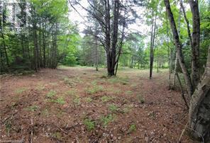 168 Airport Road, Faraday, Ontario  K0L 1C0 - Photo 6 - X12085669