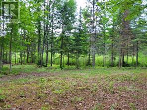 168 Airport Road, Faraday, Ontario  K0L 1C0 - Photo 7 - X12085669