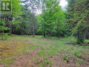 168 Airport Road, Faraday, Ontario  K0L 1C0 - Photo 8 - X12085669