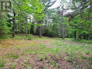 168 Airport Road, Faraday, Ontario  K0L 1C0 - Photo 9 - X12085669