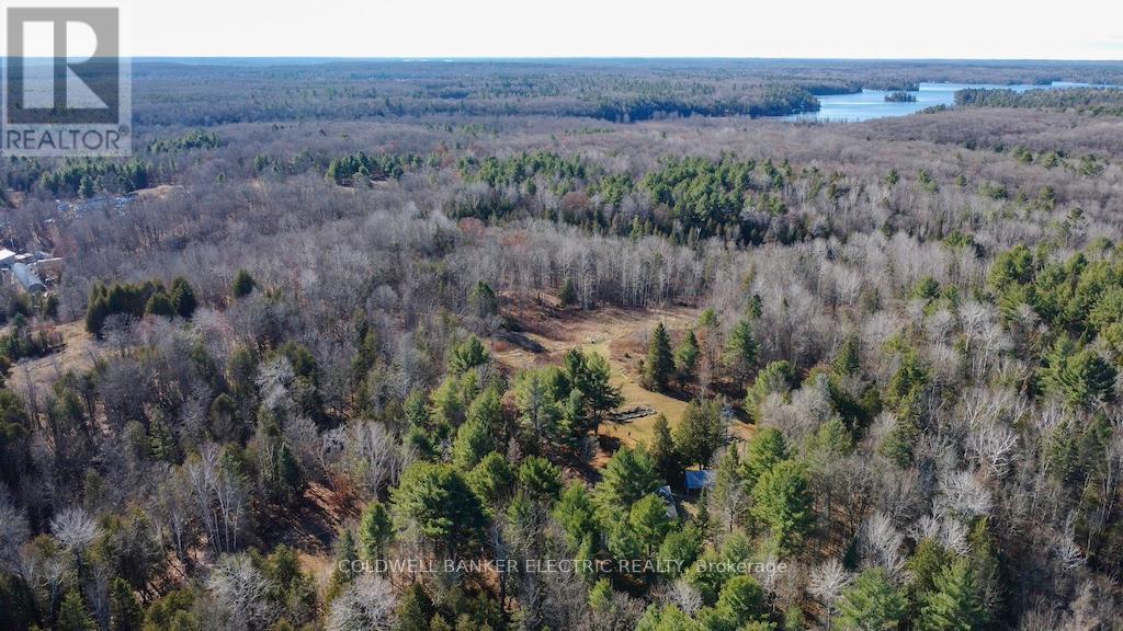 7050 Highway 28, North Kawartha, Ontario  K0L 1A0 - Photo 2 - X12085812
