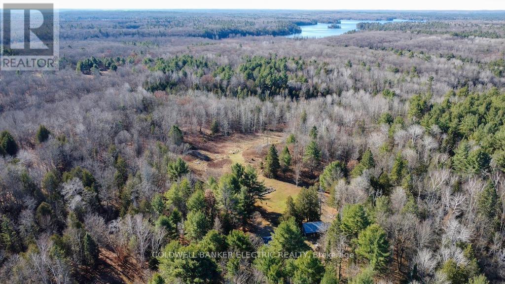 7050 Highway 28, North Kawartha, Ontario  K0L 1A0 - Photo 3 - X12085812