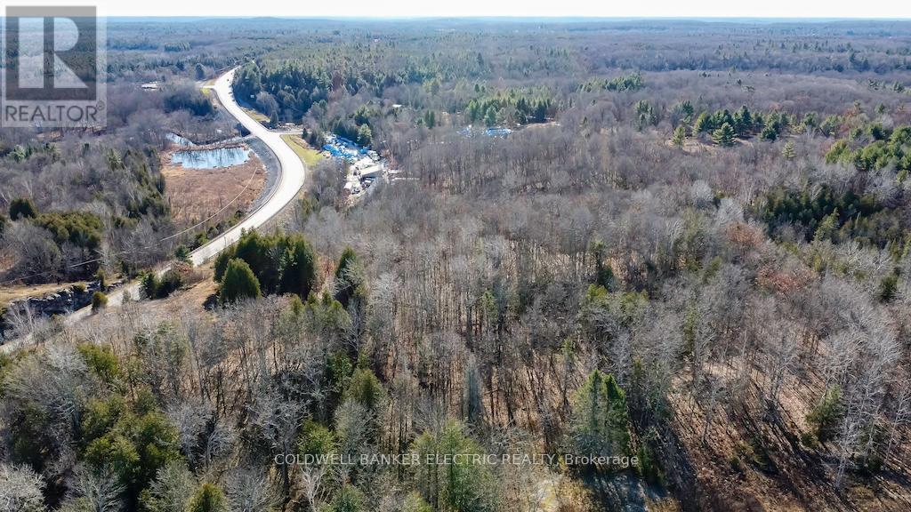7050 Highway 28, North Kawartha, Ontario  K0L 1A0 - Photo 31 - X12085812