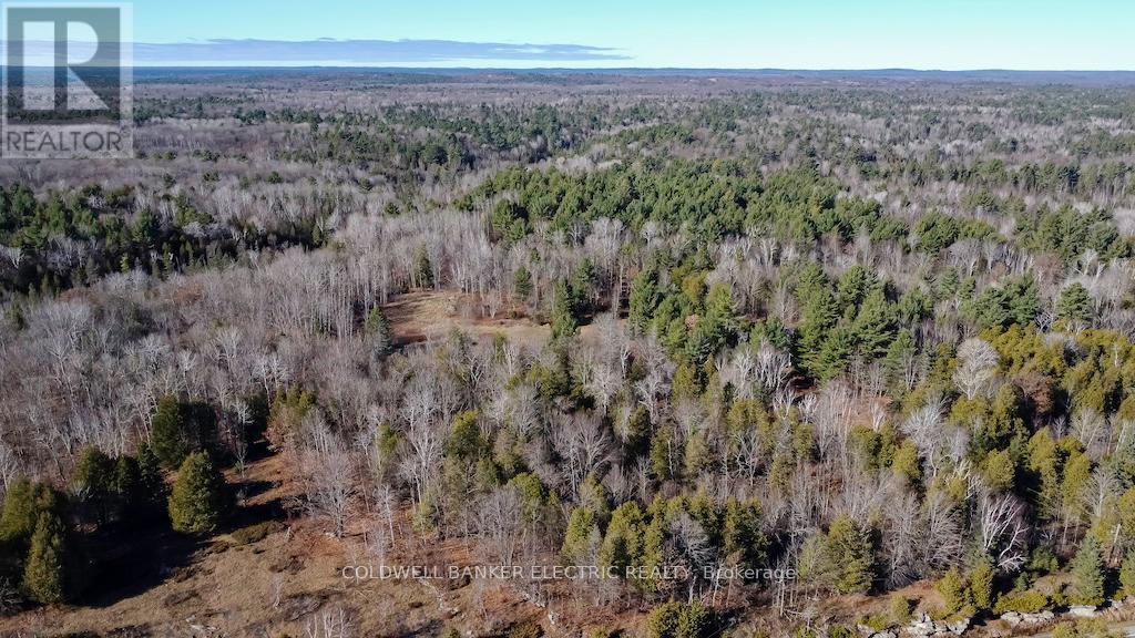 7050 Highway 28, North Kawartha, Ontario  K0L 1A0 - Photo 32 - X12085812