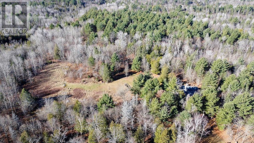 7050 Highway 28, North Kawartha, Ontario  K0L 1A0 - Photo 33 - X12085812